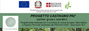 Progetto Castagno+